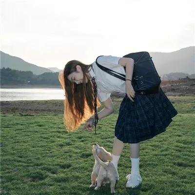 狗狗圣诞节